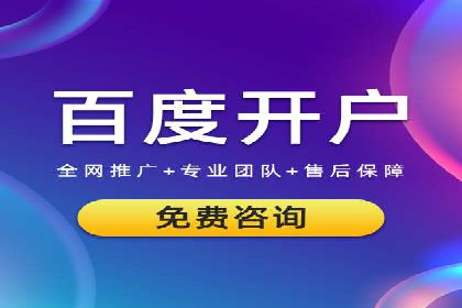 SEM推广实战：案例分析及策略调整
